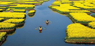 這批作家的地域文學創(chuàng)作得到了文學界的充分認可，一個充分體現(xiàn)文學地理特點的文學流派—“里下河文學流派”逐漸形成。