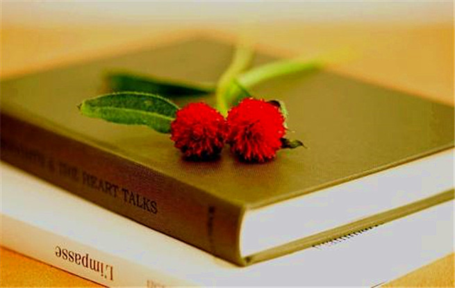 北京出版集團世界圖書和版權日紀念講壇：閱讀，溫潤心靈