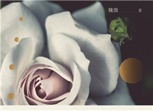 見言讀書會｜“以心證史”：魏微小說研讀她能深入每個人的內(nèi)心世界去，去體悟、感受人物的心靈世界……[詳細]