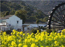 創(chuàng)意閱讀與寫作工作坊｜今天，我們?nèi)绾蚊鎸π聲r代的鄉(xiāng)村？從與鄉(xiāng)村有關(guān)的人物開啟敘述，再指向具體村落，展現(xiàn)鄉(xiāng)土文化……[詳細]