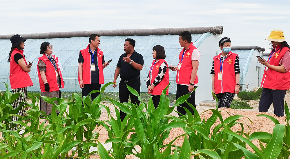 同樂(lè)村委會(huì)主任為青銅峽青年文學(xué)創(chuàng)作人才項(xiàng)目成員講解大棚種植