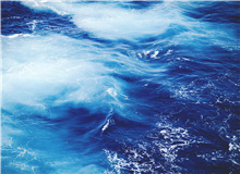 【輯二】東流去：這藍色一刻不停地沖刷著岸弄丟了愛情/只剩下獨自一人，越來越孤零/大片野花初開，一朵一朵，全都愛我/[詳細]