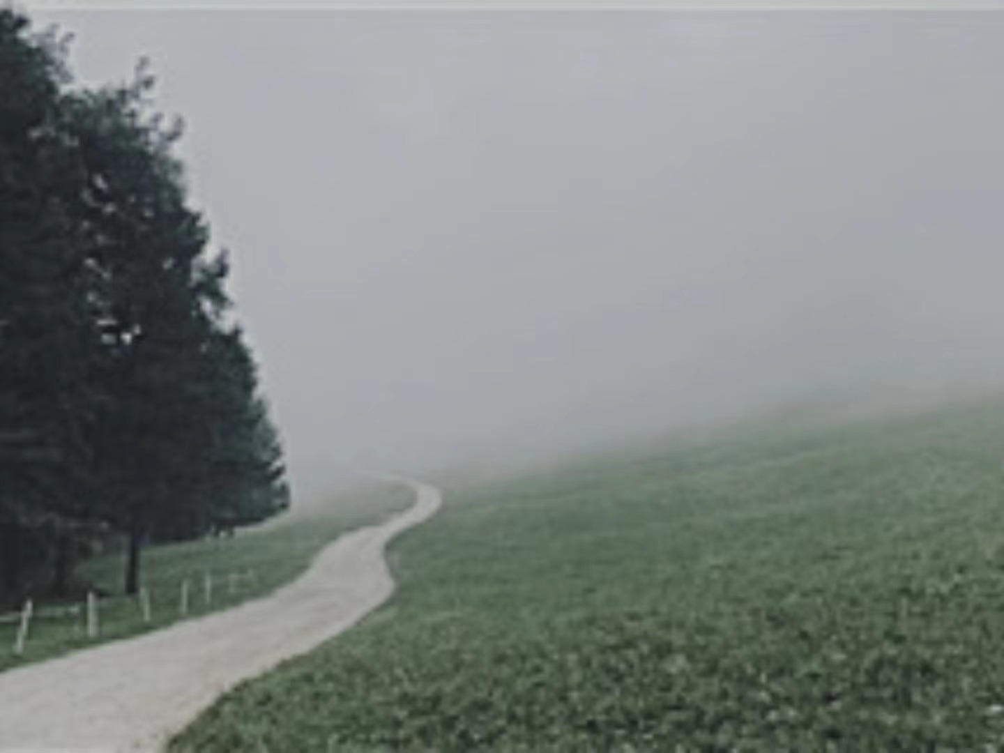 【輯一】南部山區(qū)：有時在大風中，群山似乎在奔跑走在山間公路上/山崖在左，溪水在右/轉過兩座山，山崖到了右邊，溪水來到左邊[詳細]