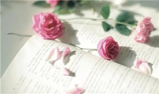 萬(wàn)古愁在秘密花園里的N種展開(kāi)式