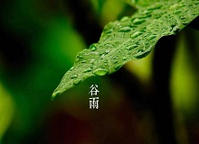 《谷雨》過了清明，就是谷雨。村莊里，田野里，村路上，草木間，人家的院落里，人們的臉上，到處都是春天的閑意思了。[詳細]