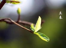 《立春》大年三十這一天，天難得放晴了。村子里到處明晃晃的，陽光映照著雪地，仿佛琉璃世界。[詳細]