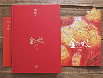 《金枝》：“虛置的父權(quán)”，使父親的角色無比尷尬