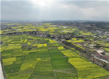 《家山》：生生不息的民族史詩　　在我的觀察當(dāng)中，很多傳統(tǒng)的鄉(xiāng)村社會的東西，現(xiàn)在還是保留著，傳統(tǒng)文化也保存得比較好……[詳細]