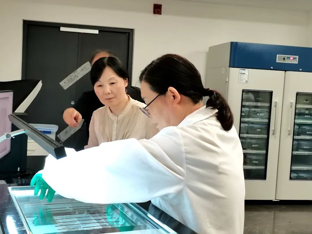 6月26日，江西作家王蕓在?；韬顕z址公園內(nèi)的竹簡修復(fù)室采訪