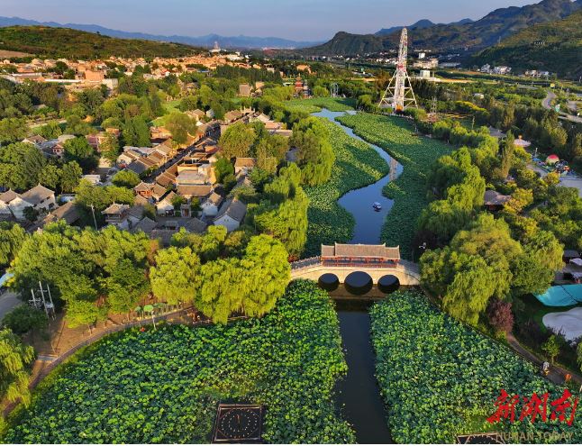 秦嶺深處的棣花古鎮(zhèn)，游人在連片荷塘中泛舟。