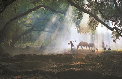 只有真正貼近鄉(xiāng)土現(xiàn)實，才能寫出好的鄉(xiāng)土文學(xué)。 視覺中國供圖