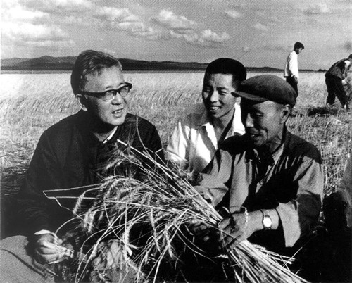 多年來華羅庚為推廣“優(yōu)選法”和“統(tǒng)籌法”，經(jīng)常深入廣大工廠、農(nóng)村，圖為華羅庚與農(nóng)民在一起（右下）