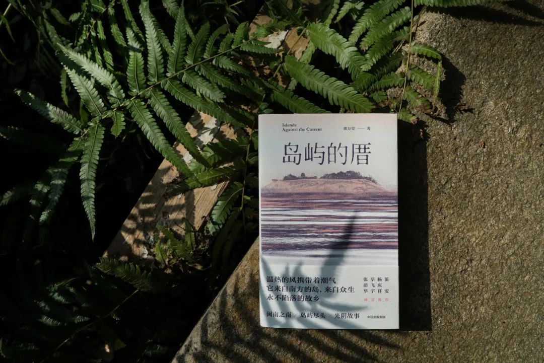 “厝”在閩南語中意為“房子” 龔萬瑩/著 大方丨中信出版集團