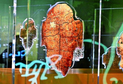河南安陽殷墟博物館新館內(nèi)展出的刻辭卜甲。 新華社記者 李安攝 