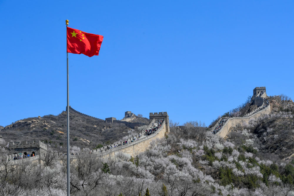 2024年4月7日，游客在山花盛開的八達嶺長城觀光游覽。新華社記者 鞠煥宗 攝