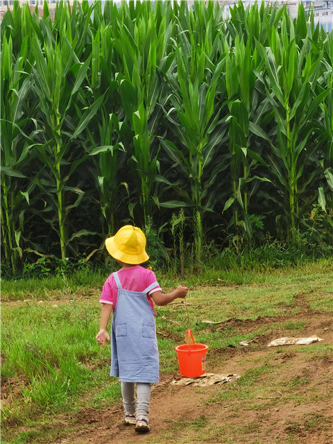 孩子們的背影。劉雪韜周末經(jīng)常和愛人一同陪伴孩子去他們喜歡的地方騎車、玩耍。對他們來說，相聚的時(shí)光遠(yuǎn)比一些熱鬧的應(yīng)酬重要。