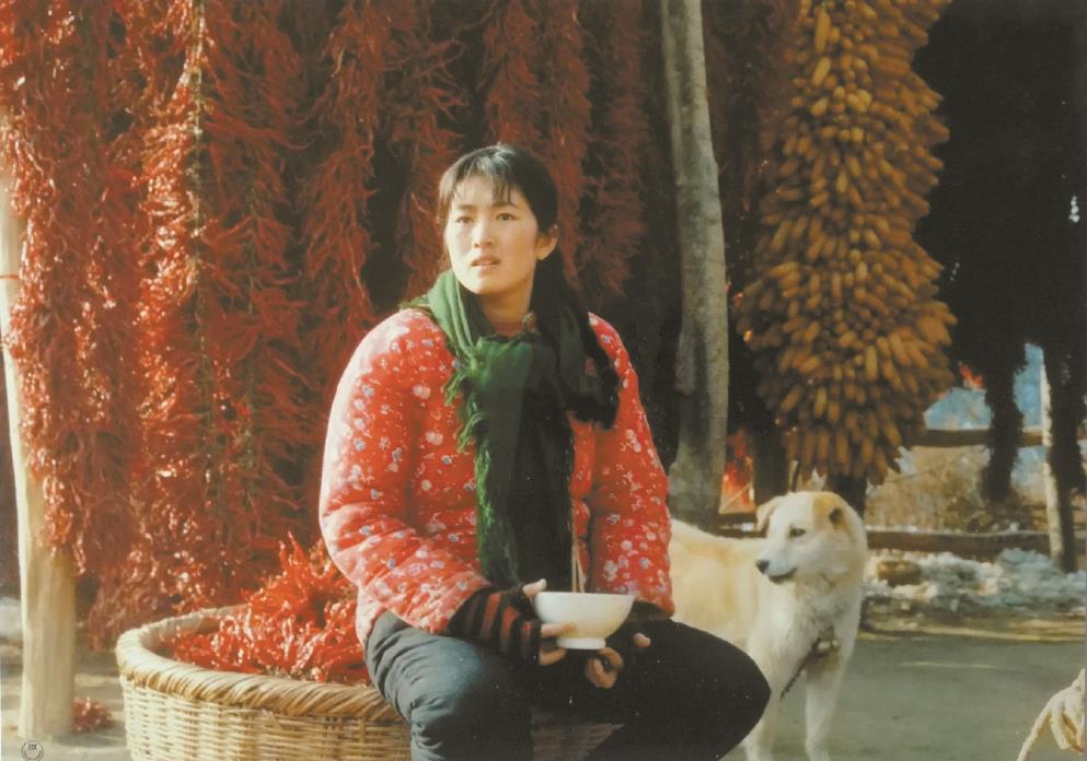 劉恒擔(dān)任編劇的電影《秋菊打官司》曾獲得第49屆威尼斯電影節(jié)金獅獎、第13屆中國電影金雞獎最佳故事片獎等獎項。