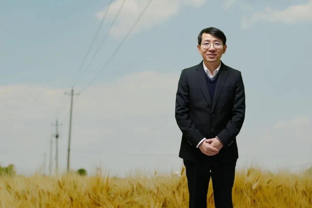 羅長(zhǎng)青，男，1981年生，湖南衡陽人；博士畢業(yè)于南京大學(xué)，曾在復(fù)旦大學(xué)中國(guó)語言文學(xué)博士后流動(dòng)站從事博士后研究，曾任貴州師范大學(xué)文學(xué)院教授，博士研究生導(dǎo)師；現(xiàn)為廣東外語外貿(mào)大學(xué)中國(guó)語言文化學(xué)院教授；主要從事中國(guó)當(dāng)代文學(xué)與文化現(xiàn)象研究。