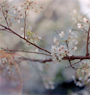 “國(guó)色”，視覺的盛宴