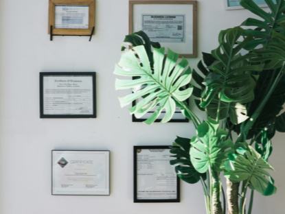 美國(guó)和歐洲多地評(píng)出的2024年年度最佳圖書(shū)一瞥