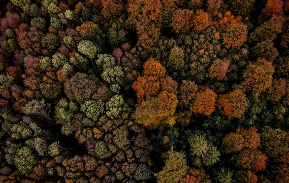 2024中國(guó)文學(xué)盤(pán)點(diǎn)：創(chuàng)獲豐富多樣 景象令人欣喜