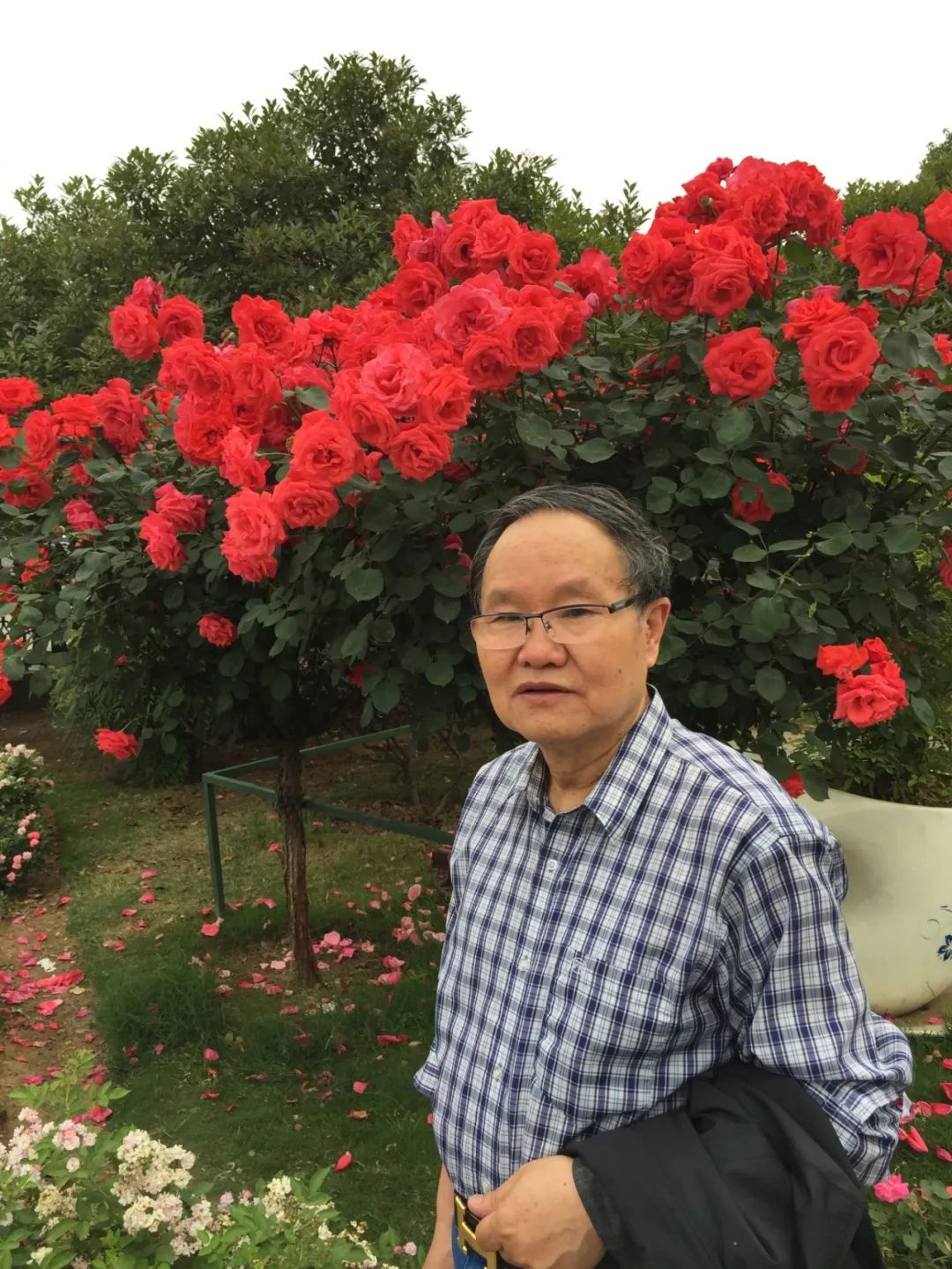 【劉慶邦，1951年生于河南沈丘。著有長篇小說《斷層》《遠方詩意》《平原上的歌謠》《紅煤》《遍地月光》《黑白男女》《女工繪》《花燈調(diào)》等十四部，中短篇小說集、散文集《走窯漢》《梅妞放羊》《遍地白花》《響器》《黃花繡》《到處有道》等七十余部?！秳c邦短篇小說編年》十二卷。短篇小說《鞋》獲第二屆魯迅文學(xué)獎。中篇小說《神木》《啞炮》獲第二屆和第四屆老舍文學(xué)獎。中篇小說《到城里去》和長篇小說《紅煤》分別獲第四屆、第五屆北京市文學(xué)藝術(shù)獎。長篇小說《遍地月光》獲第八屆茅盾文學(xué)獎提名。長篇小說《黑白男女》獲首屆吳承恩長篇小說獎。長篇小說《家長》獲第二屆南丁文學(xué)獎。長篇散文《陪護母親日記》獲第二屆孫犁散文獎。曾獲北京市首屆德藝雙馨獎，首屆林斤瀾杰出短篇小說作家獎，第十屆冰心散文獎。獲《北京文學(xué)》獎十五次；《十月》文學(xué)獎七次；《小說月報》百花獎八次等。根據(jù)其小說《神木》改編的電影《盲井》獲第53屆柏林電影藝術(shù)節(jié)銀熊獎。1990年加入中國作家協(xié)會，為中國煤礦作家協(xié)會名譽主席，北京作家協(xié)會原副主席，一級作家，北京市第十、第十一、第十二屆政協(xié)委員，中國作家協(xié)會第五、第六、第七、第八、第九屆全國委員會委員?！?></p>
<p style=