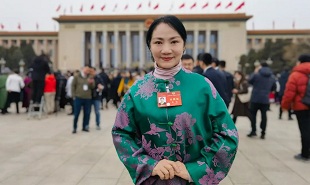 全國政協(xié)委員、山西藝術(shù)職業(yè)學(xué)院黨委委員、副院長苗潔