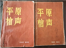 從未遠(yuǎn)去的“平原槍聲”　　合上《平原槍聲》最后一頁(yè)，初聽(tīng)現(xiàn)實(shí)中肖張鎮(zhèn)這個(gè)地名，心頭不禁一震：莫不是小說(shuō)中的肖家鎮(zhèn)？[詳細(xì)]