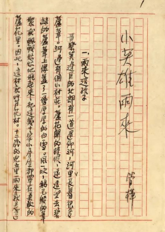 暗夜中的雨來(lái)，眼睛閃閃發(fā)亮　　在那場(chǎng)事關(guān)中華民族生死存亡的戰(zhàn)爭(zhēng)中，為了保家衛(wèi)國(guó)，華北平原涌現(xiàn)出許許多多的小英雄，而這之中，“小英雄雨來(lái)”是最為人們所熟知的英雄之一，而我們喜愛(ài)的這個(gè)“雨來(lái)”卻是作者管樺將眾多現(xiàn)實(shí)中的抗日小英雄“捏合”創(chuàng)作而成，一經(jīng)問(wèn)世便受到全國(guó)讀者的熱捧，直到現(xiàn)在。[詳細(xì)]