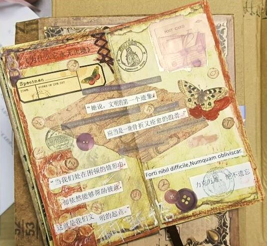 閱讀摘抄手賬，來源：讀者“朝夕昭奚”微博