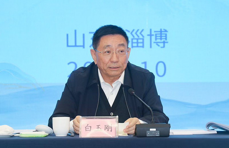 山東省委常委、宣傳部部長(zhǎng)白玉剛作總結(jié)講話