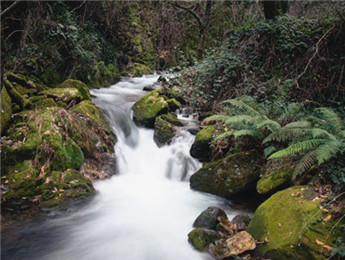 在自然的詩(shī)行里，我們都是蹩腳的讀者……