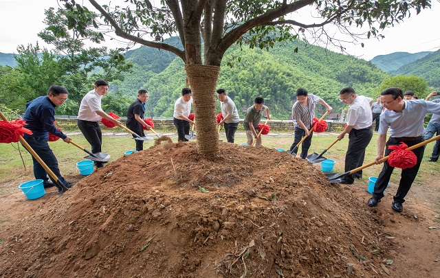 中國(guó)作家全國(guó)首個(gè)新時(shí)代文學(xué)實(shí)踐點(diǎn)落戶杭州臨安