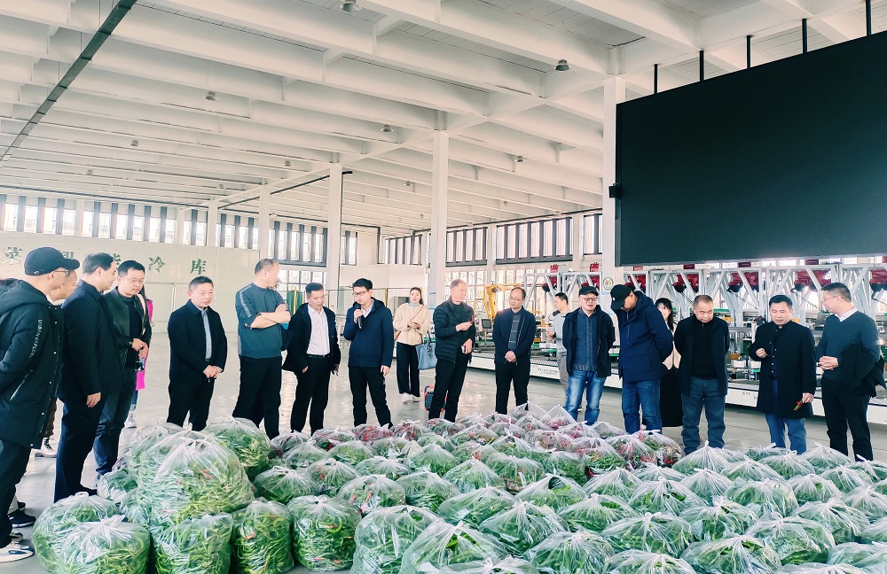 2025年2月12日，采風(fēng)團(tuán)一行在長(zhǎng)勝鎮(zhèn)鄉(xiāng)村振興示范區(qū)參觀