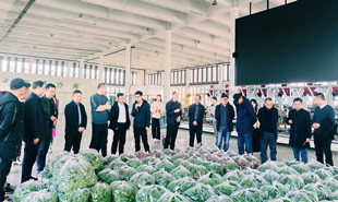 采風(fēng)團(tuán)一行在長(zhǎng)勝鎮(zhèn)鄉(xiāng)村振興示范區(qū)參觀