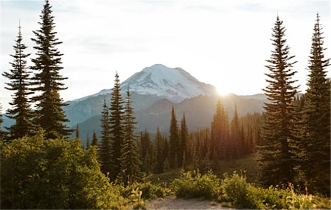 邁向跨界融合的“大文學(xué)”時(shí)代——二〇二五年中國(guó)文壇一瞥