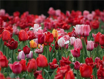 2025年度長(zhǎng)篇小說(shuō)：轉(zhuǎn)折時(shí)代的敘事藝術(shù)