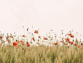 短篇小說(shuō)：以有限承載無(wú)限，折射時(shí)代的暗涌與微光