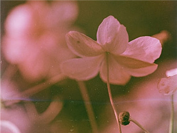 2025年度詩(shī)歌：更大的格局與更深的意味