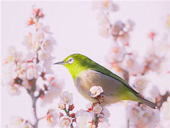 2025年網(wǎng)絡(luò)文學(xué)：誠(chéng)于時(shí)代，誠(chéng)于文學(xué)