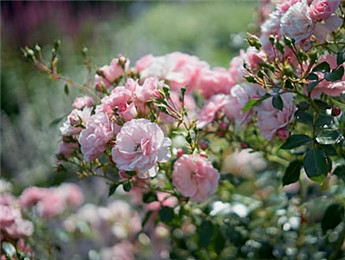 2025文學(xué)理論評(píng)論觀察：在時(shí)代變革中開(kāi)拓豐盈的話語(yǔ)空間