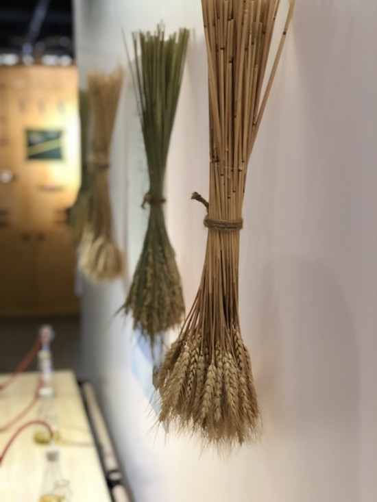 培德書(shū)院的展覽“冬藏”現(xiàn)場(chǎng)