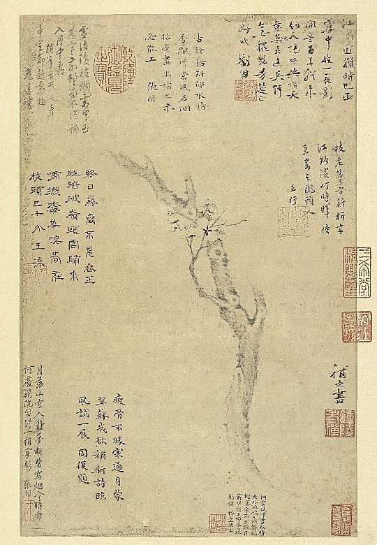 《集古圖繪》冊 宋 揚(yáng)無咎梅花 臺(tái)北故宮博物院藏